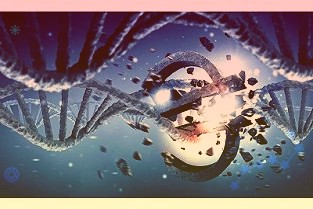 两大钢企上调汽车用钢基价钢铁行业供需矛盾料缓解